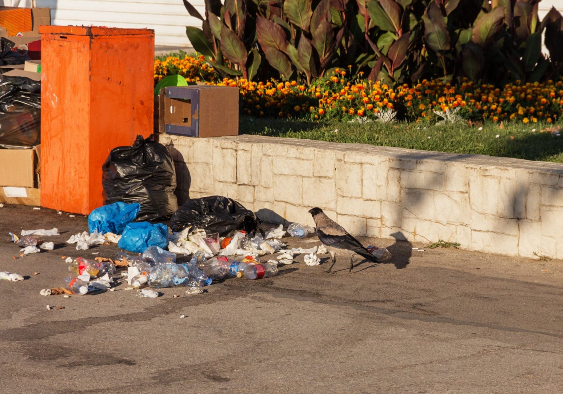 scattered street trash in a crowded urn